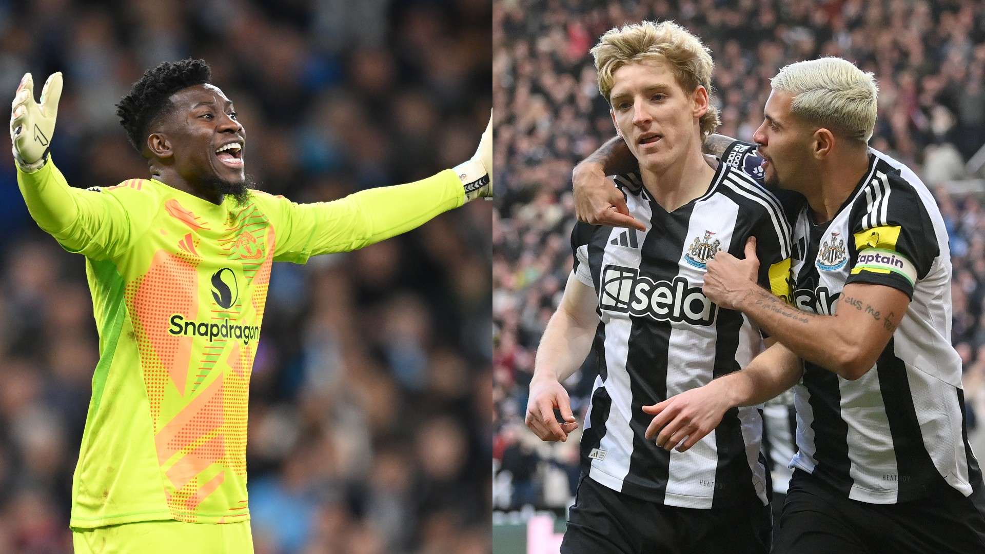 芳卉需要在 芳卉需要在